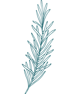 Aromatica