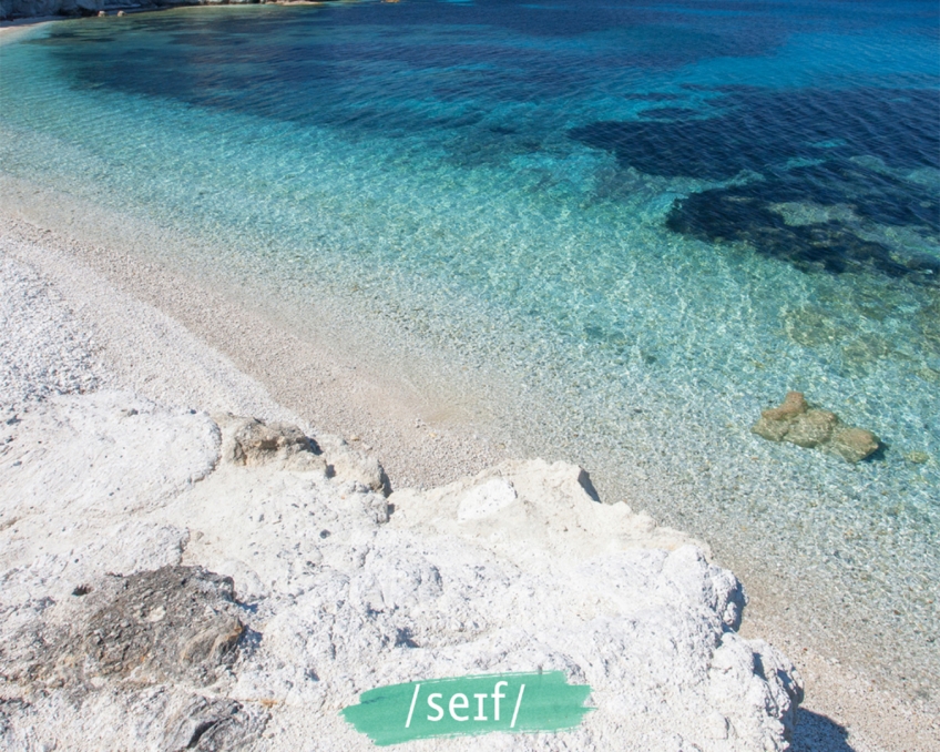 SEIF 2021: ritorna il festival dedicato al mare e alla sua bellezza