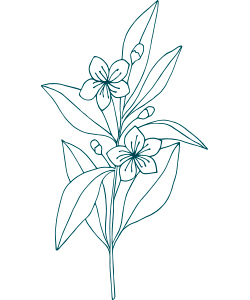 Floraux