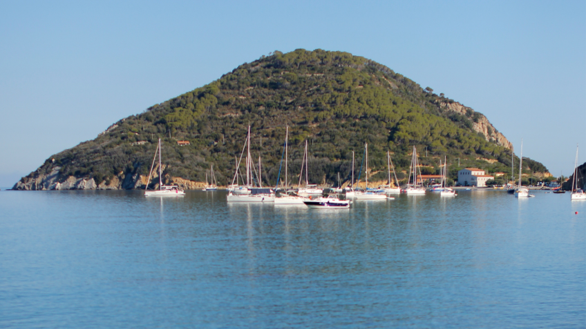 ELBA 2035: WORK IS UNDER WAY!