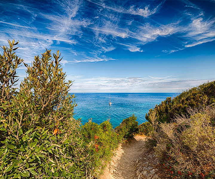 Acqua dell’Elba
